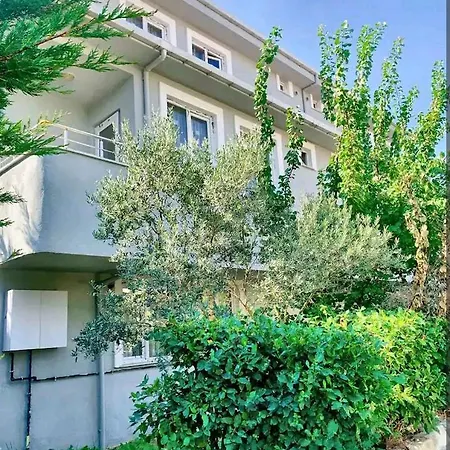 Forest Airport Is A 6-minute From Istanbul Airport *