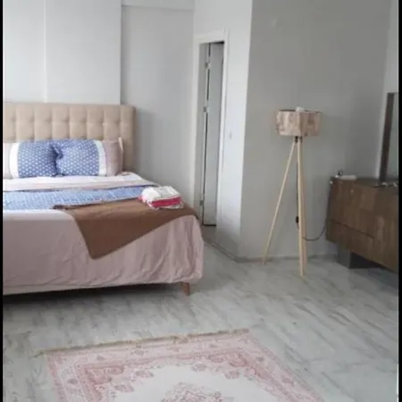 Forest Airport Is A 6-minute From Istanbul Airport Arnavutkoy