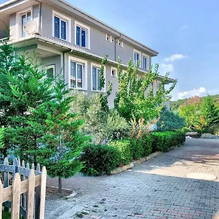 Forest Airport Is A 6-minute From Istanbul Airport