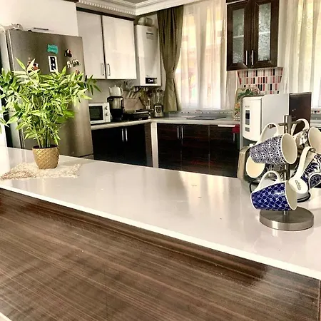 Forest Airport Is A 6-minute From Istanbul Airport Arnavutkoy