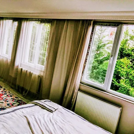 Forest Airport Is A 6-minute From Istanbul Airport Lodge *