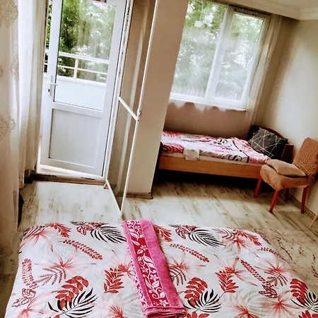 Forest Airport Is A 6-minute From Istanbul Airport Lodge